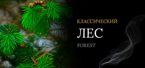 Лес